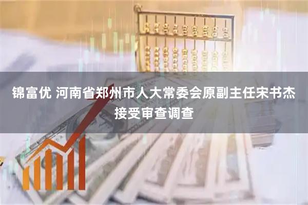 锦富优 河南省郑州市人大常委会原副主任宋书杰接受审查调查
